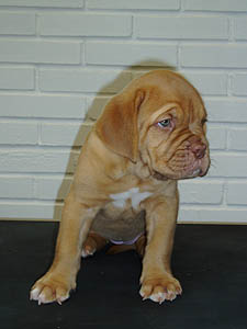 Zarah 6 weeks